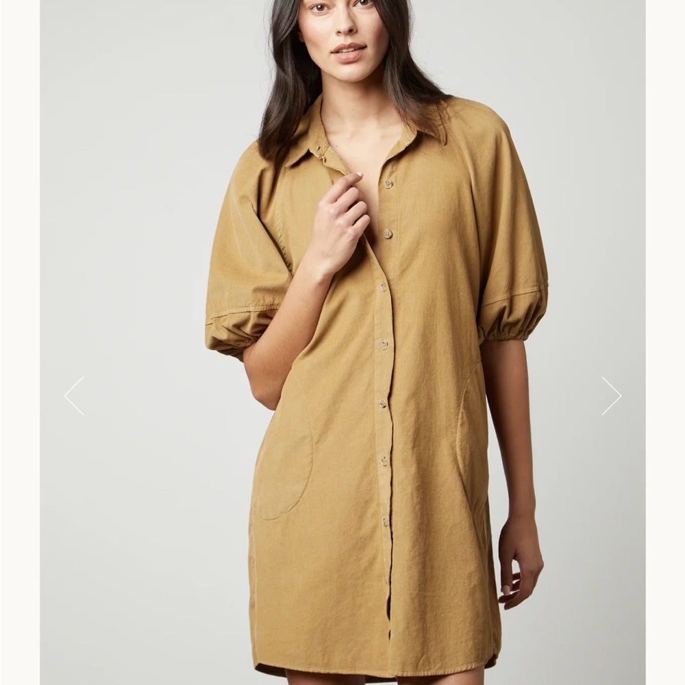 Velvet by Graham and Spencer Dress - BLACK